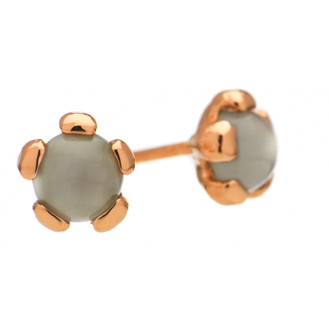 ÖRHÄNGE, HAVSANEMON 