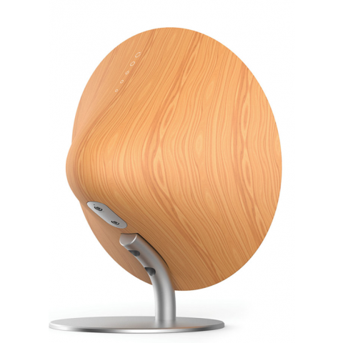 The Cone, högtalare